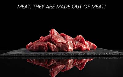 Meat. A Funny Story about Reality